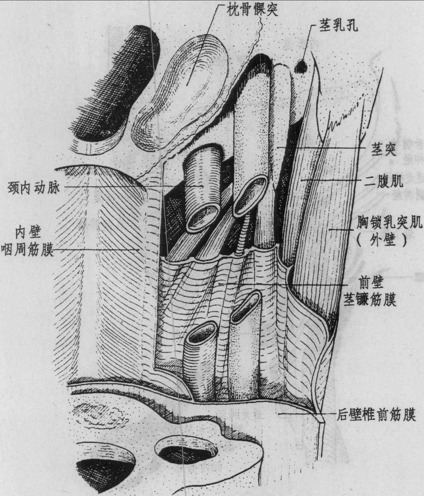 五、終端部的關(guān)系